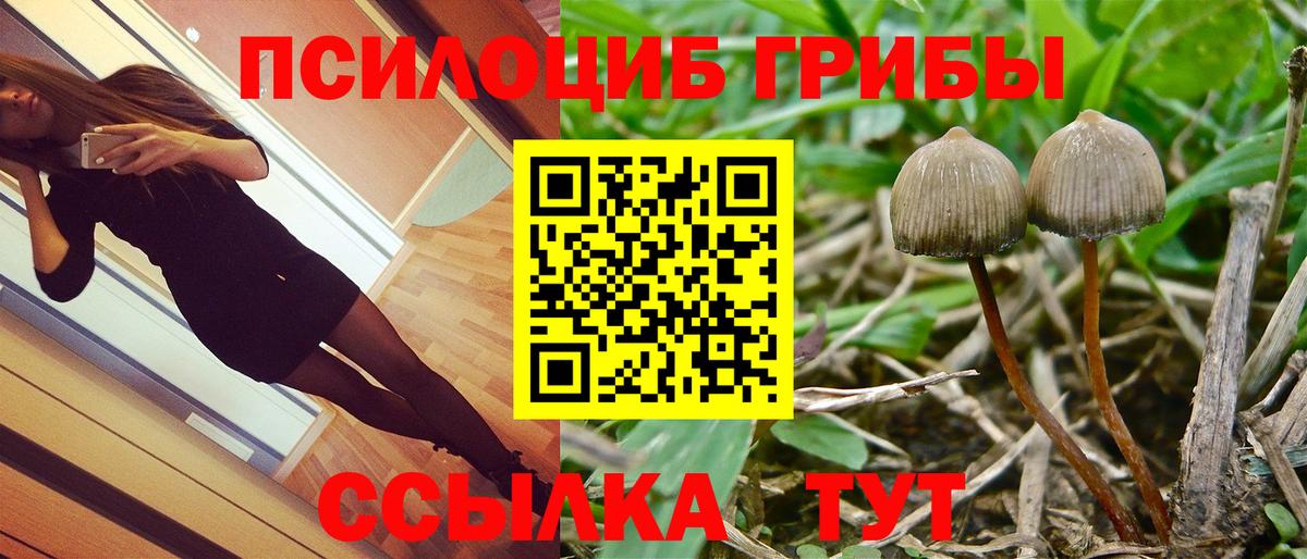 Галлюциногенные грибы прущие грибы Отрадное